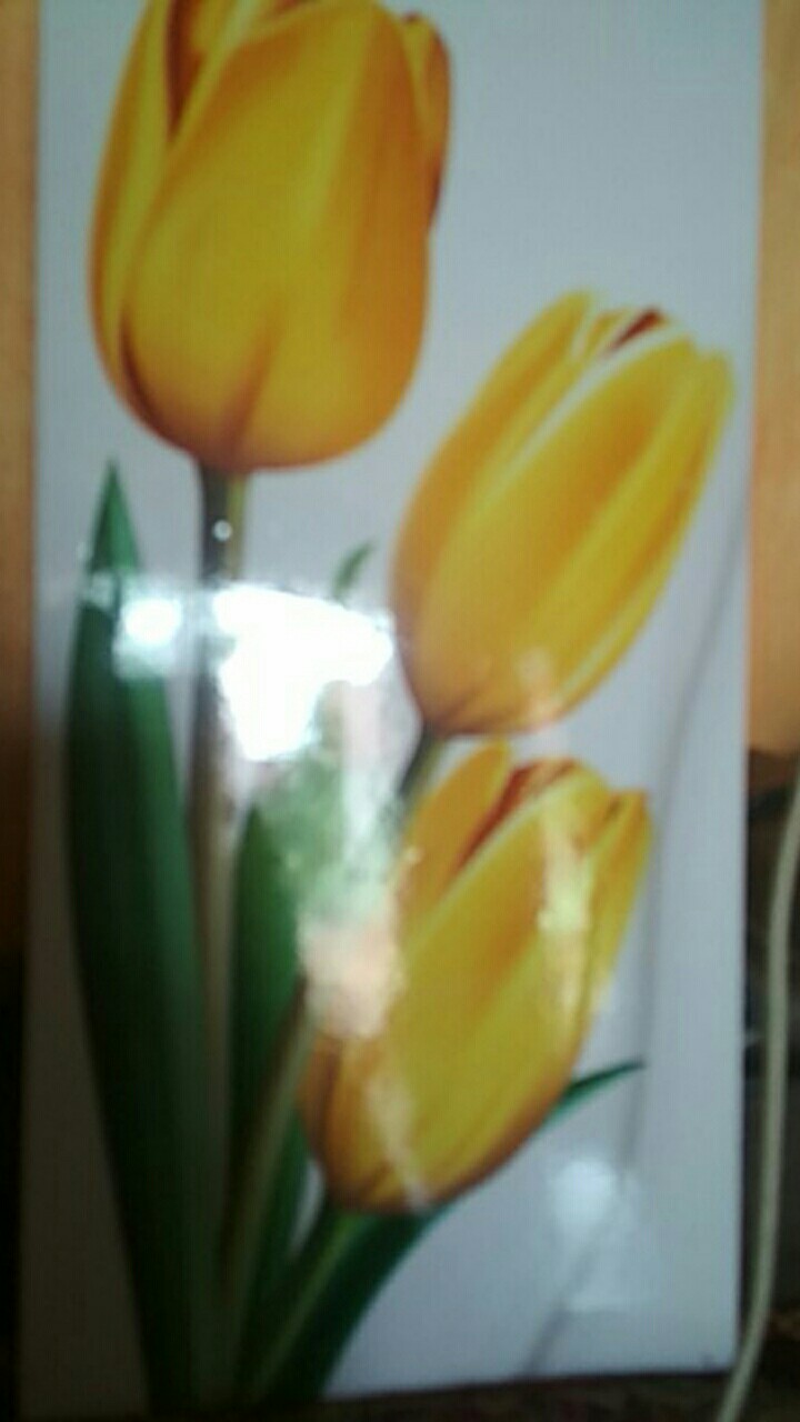 Hiasan Dinding Walldecor Pajangan Dinding Shabby Chic Tulip Wp 11