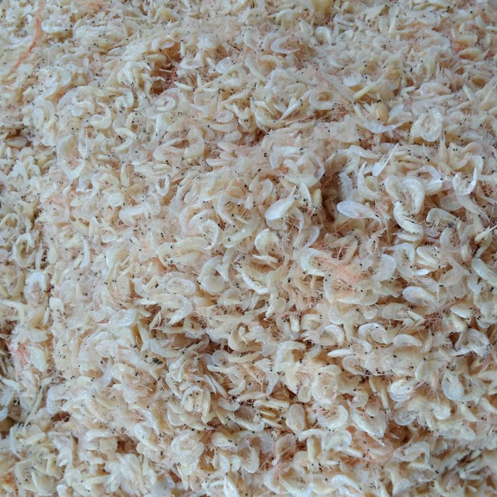 

Ikan asin rebon cakep