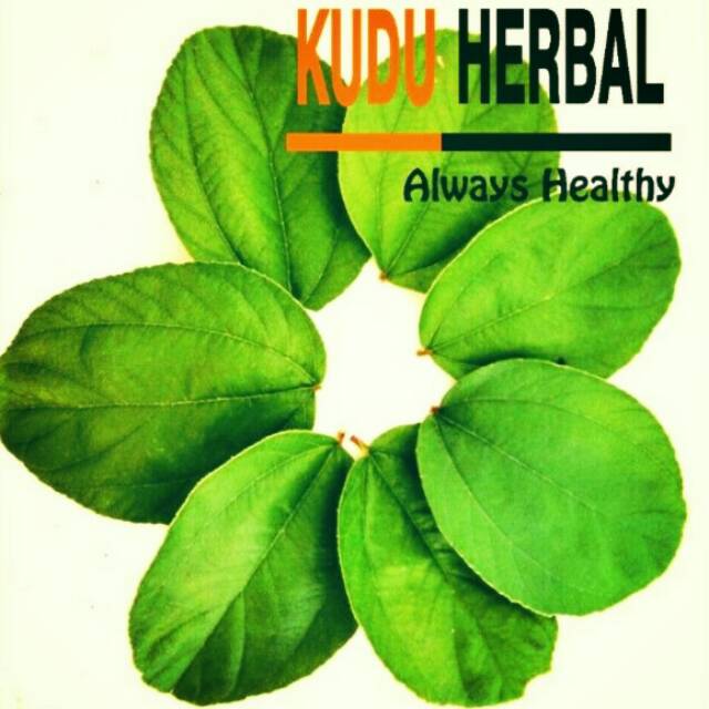 

Daun Bidara I Daun Bidara Segar I Daun Bidara Arab Asli I Bidara Arab