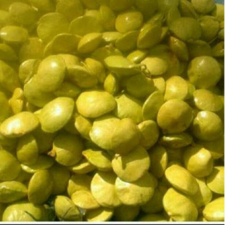 

ヹ jengkol muda lalap 1kg NEW ARRIVAL 2679 ❖