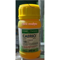 Cabrio Gold 250 ml