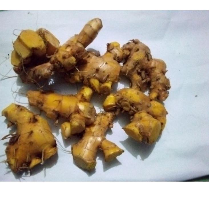 

SHOPEE 6.6 bangle /panglay segar 1kg [KODE 839]