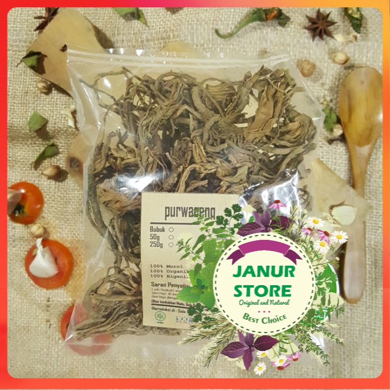 

PURWOCENG KERING 100 GRAM - Pimpinella Pruatjan - MURNI - JSR - REMPAH