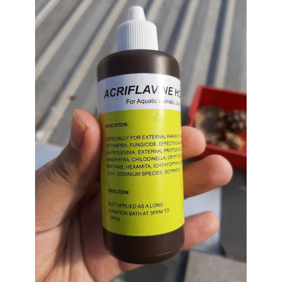 Obat Acriflavine Jamur Kura-kura Air/Darat 100 ML