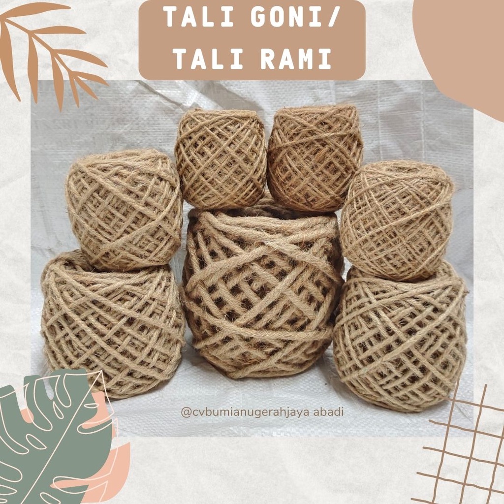 

TALI GONI/RAMI (50 METER)