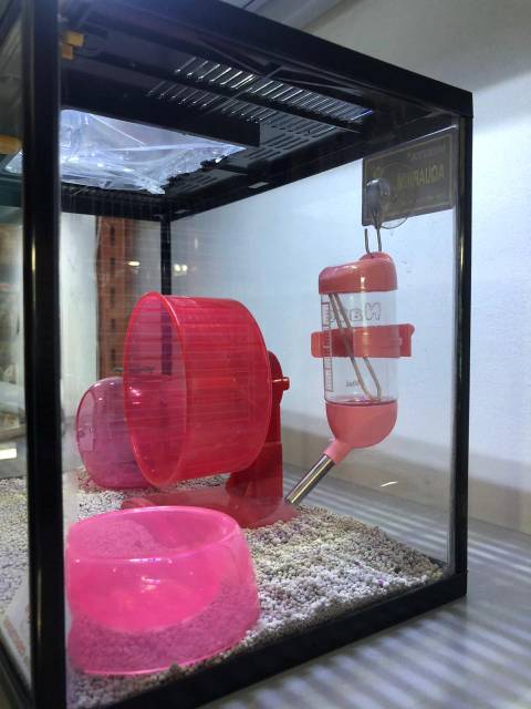 Terarium Kandang Hamster aquarium Fullset medium Kandang Hamster unik