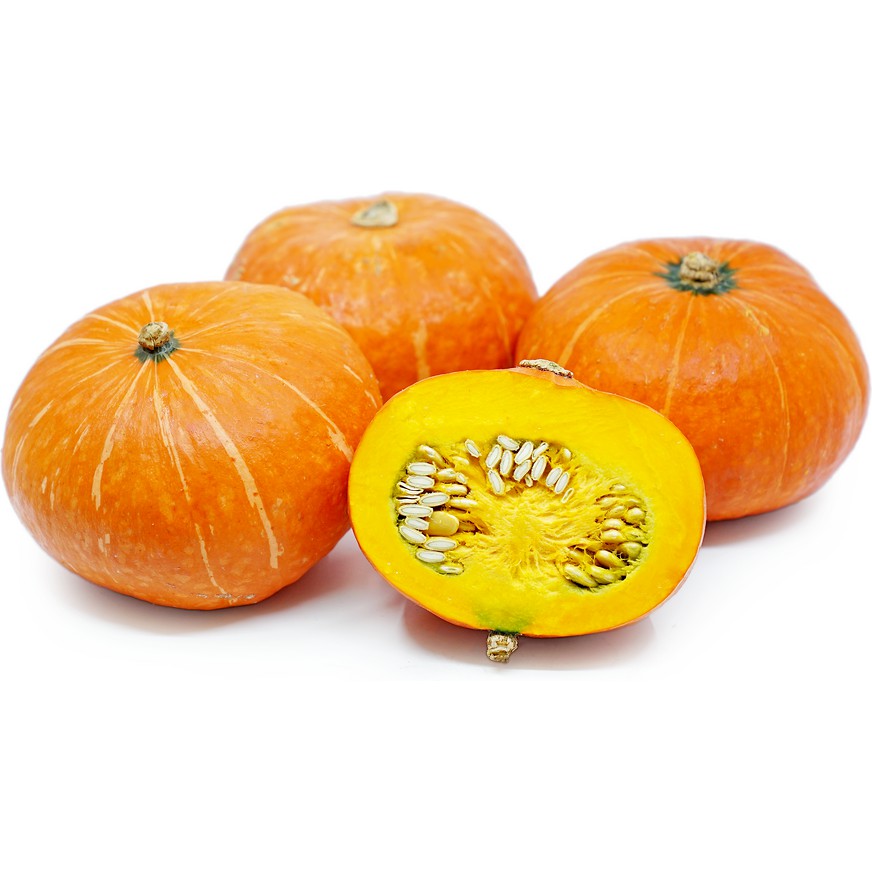 Benih Bibit Biji - Labu Kabocha Orange Manis Jepang Squash F1 Hibrida Waluh Seeds - Panen Dalam 80 HST