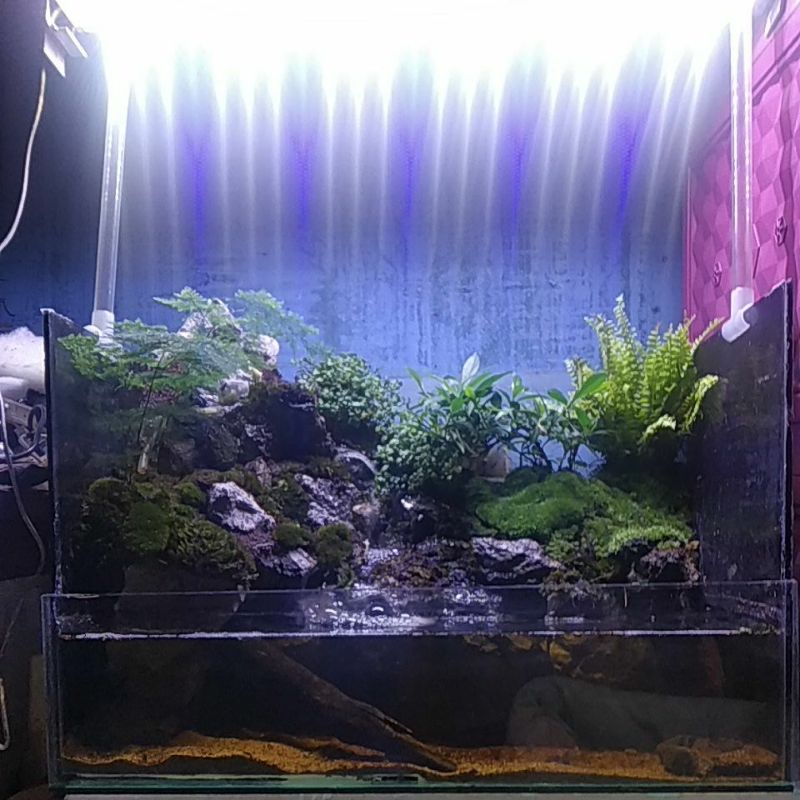 paludarium waterfall 60x40cm