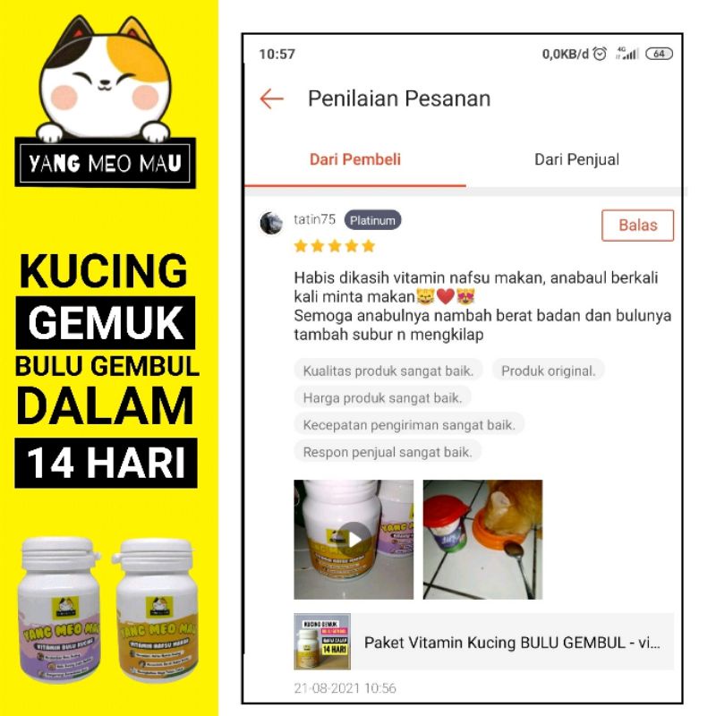 Vitamin Kucing Nafsu Makan, Berat Badan Kurus, Bulu Rontok/Kusam dan Imunitas Tubuh