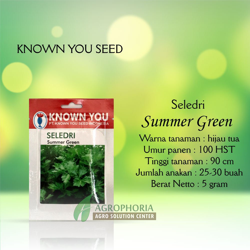 Benih Seledri Summer Green 5 Gram - Known You Seed Diskon