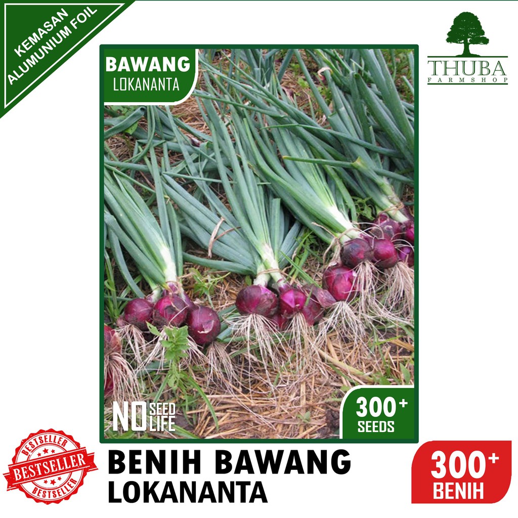 300 Biji - Benih Bawang Merah Lokananta - Bibit Bawang Merah Berkualitas