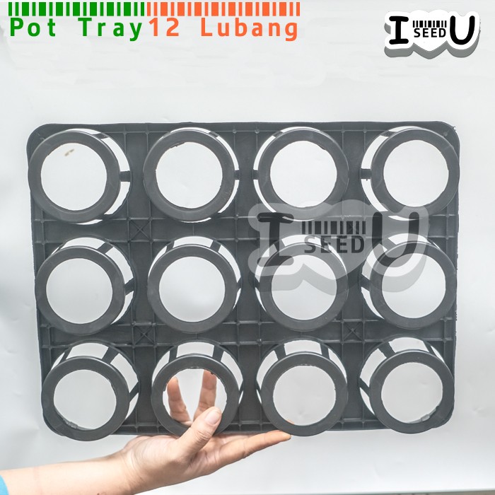 Pot Tray Semai Benih/Bibit Anggrek 12 Lubang