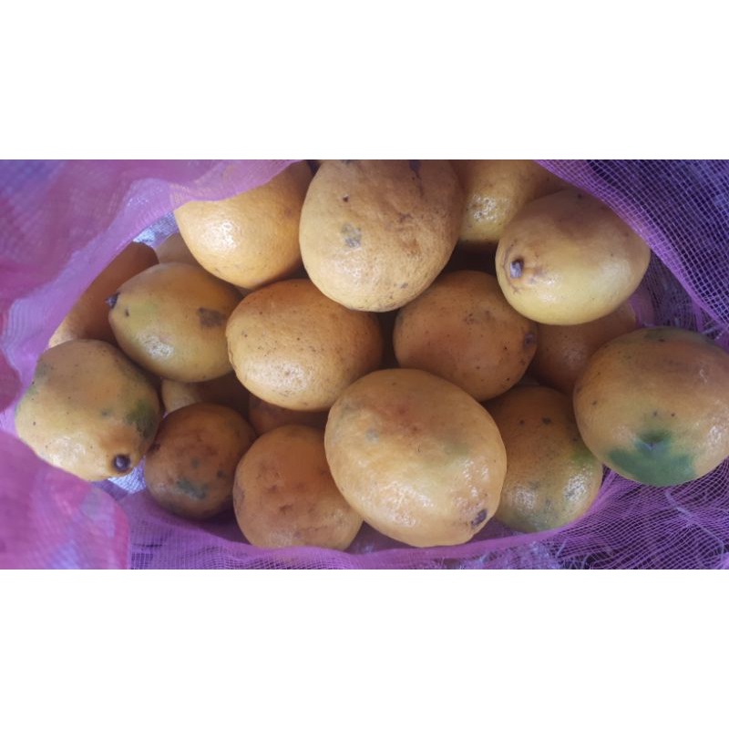 

JERUK LEMON 500gr