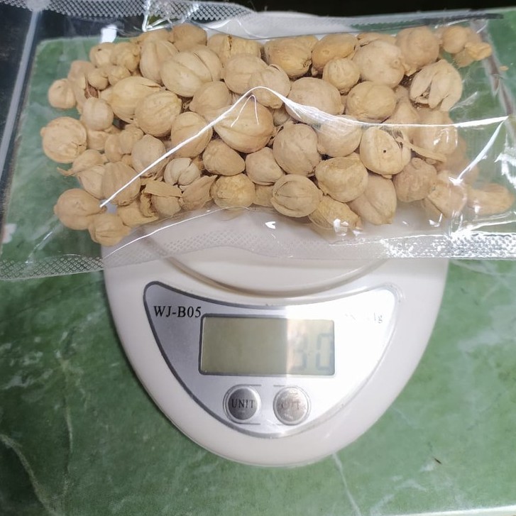 

KAPULAGA / KAPOL 25 GR KUALITAS PREMIUM