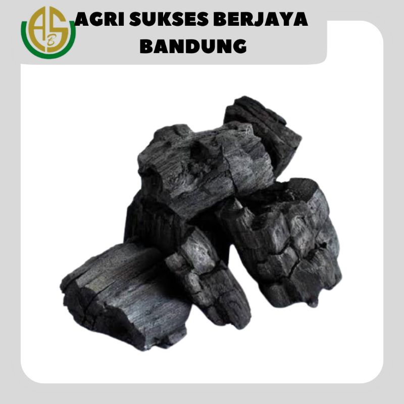 Jual Arang Kayu Arang Kayu Bakar Pack Shopee Indonesia