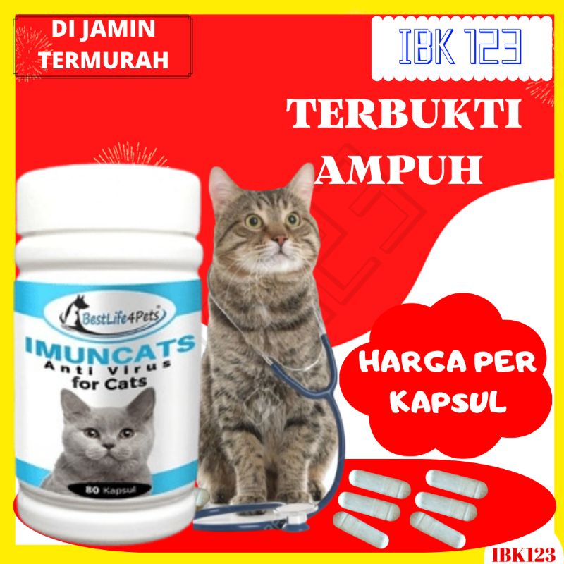 Imun Booster Anti Virus Kucing Transfer Factor Capsule Harga Per Kapsul  IBK123