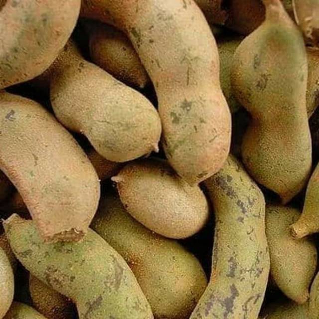 

ASEM MENTAH /ASAM JAWA MENTAH / ASAM MUDA / ASEM JAWA / ASAM CEMPALUK