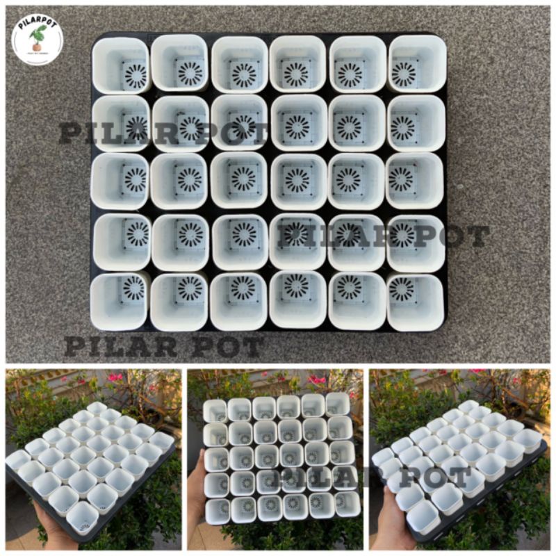 1 SET TRAY LUBANG 30 + POT NKT KOTAK 5CM PUTIH 30 PCS | TRAY SEMAI BIBIT