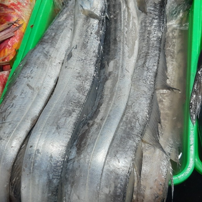 

Ikan lajur/layur 1kg (1000g)