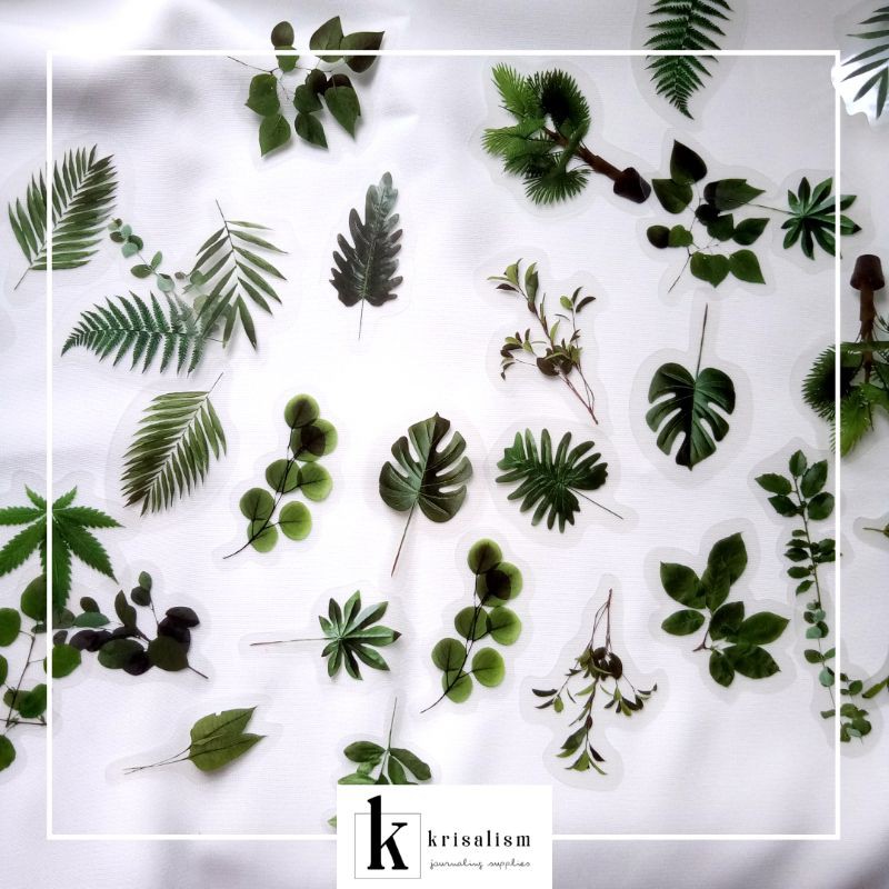 

Stiker Bunga Transparan Vol.1 • Hazzel Rose Daisy Tulip Leaf Sticker for Journal Waterproof Tumblr Case PET