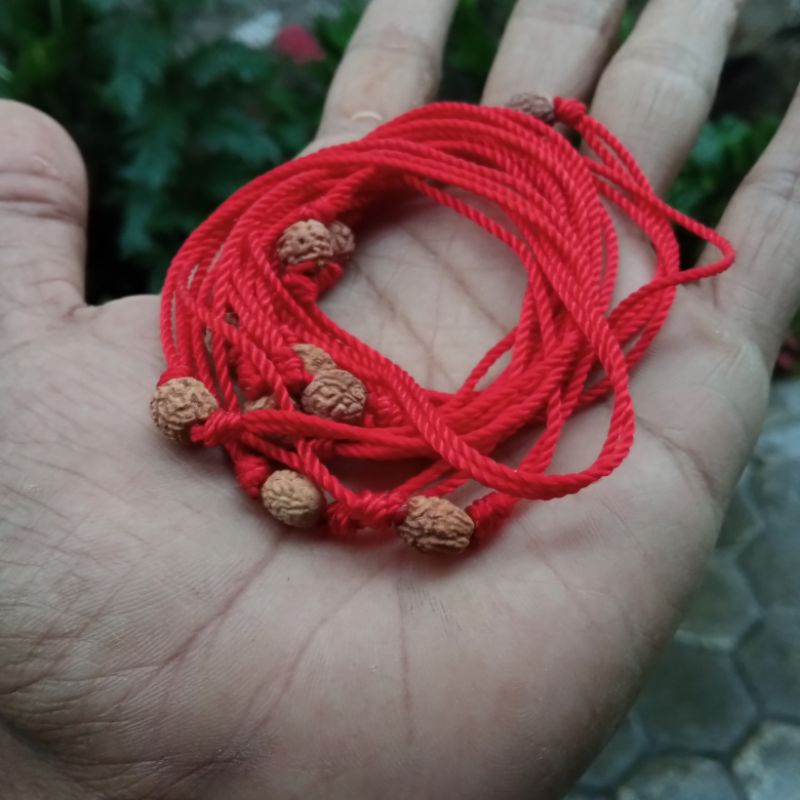 Gelang biji bidara tali merah | ASLI BIJI BIDARA ARAB (SIDR) | bukan jenitri rudraksha