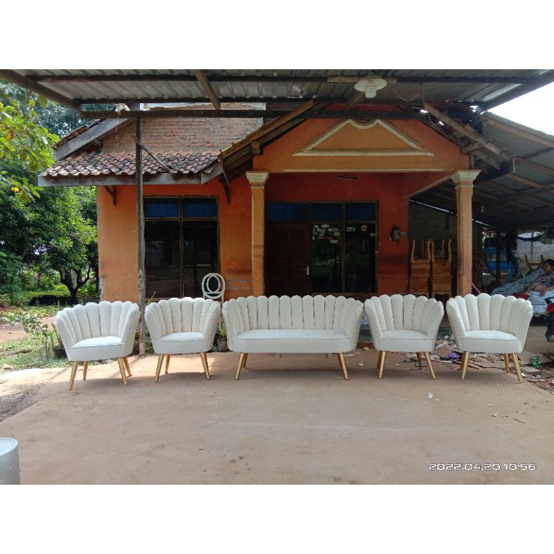 kursi kerang kain bludru kursi pelaminan kursi kerang kursi lesti kursi decorasi