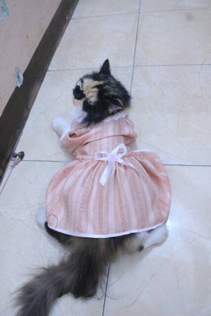 Baju kucing cream lucu untuk kucing dan anjing / baju kucing murah size S-XL