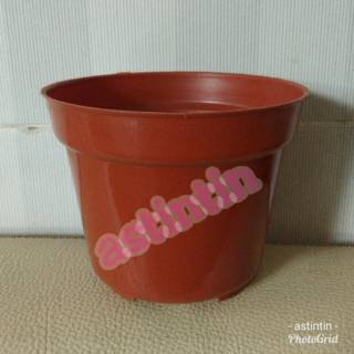  Pot  Plastik  Polos 12 cm Shopee  Indonesia