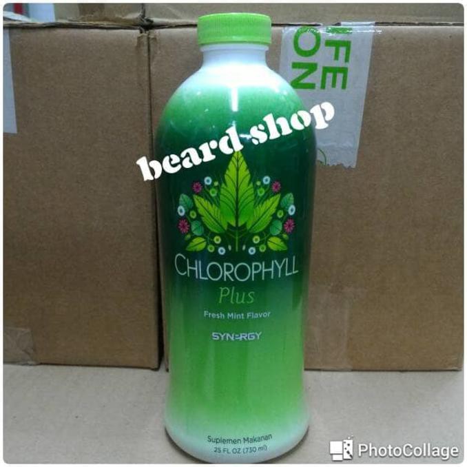 Chlorophyll Klorofil Synergy Original