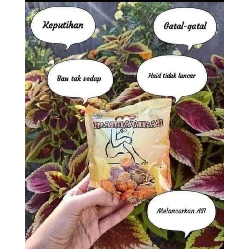 

Jamu Manjavikan MSI