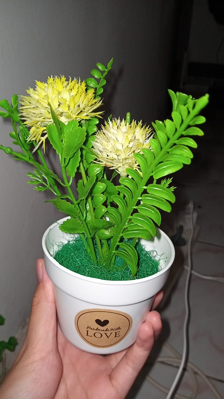 Tanaman Pakis Bulat Bunga Plastk