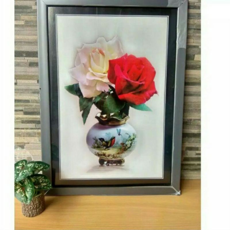 Pigora 12RS /30x45cm KHUSUS GO JEK
