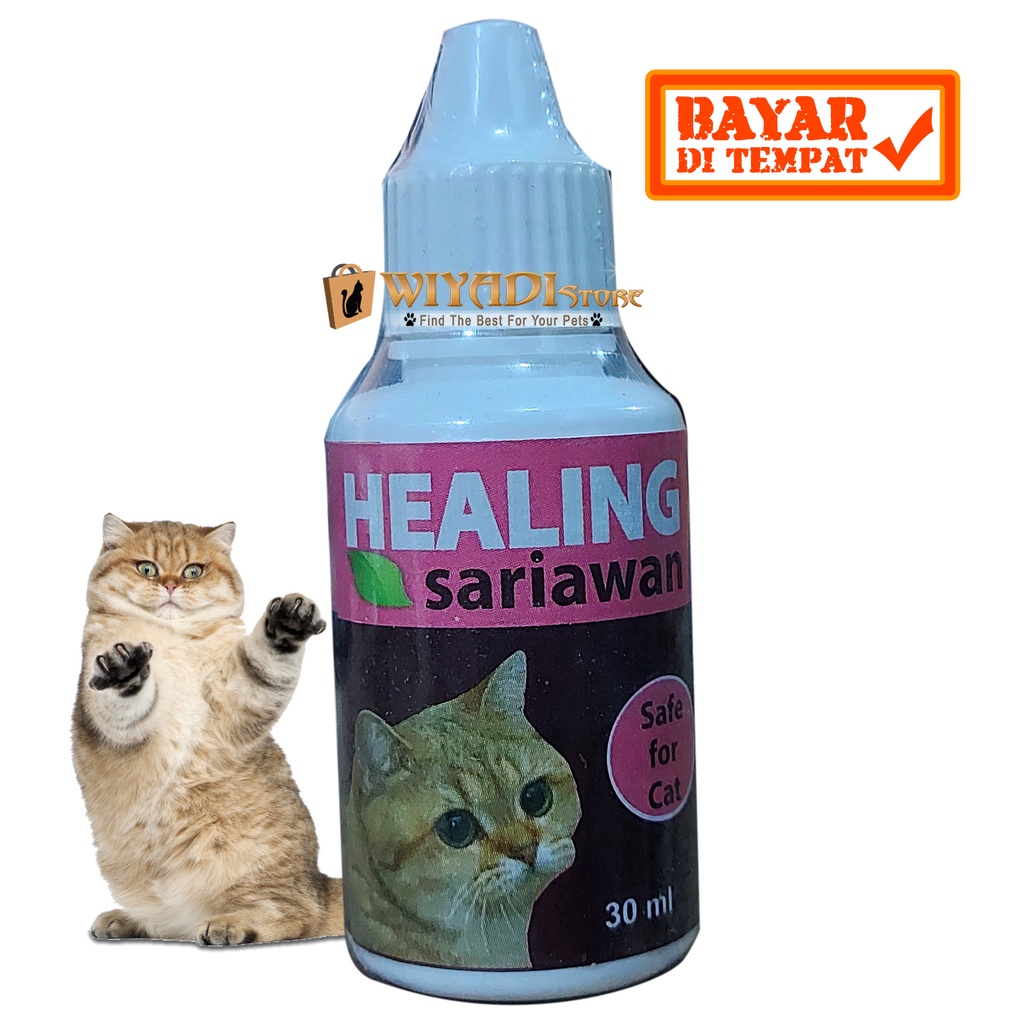 Healing Sariawan Cat - Obat Ampuh Atasi Bau Mulut Sariawan Kucing