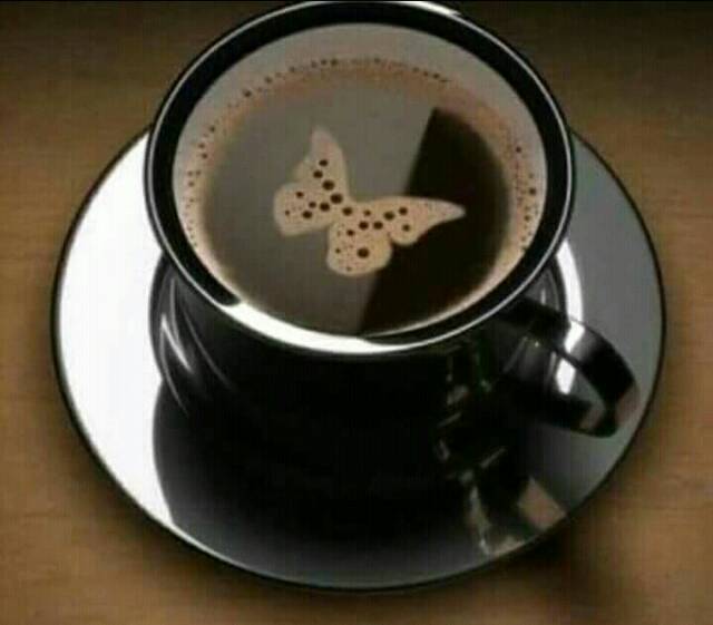 

Ay00! Kopi Biji Alpukat 100gr Utk Diabetes Sariawan Maag