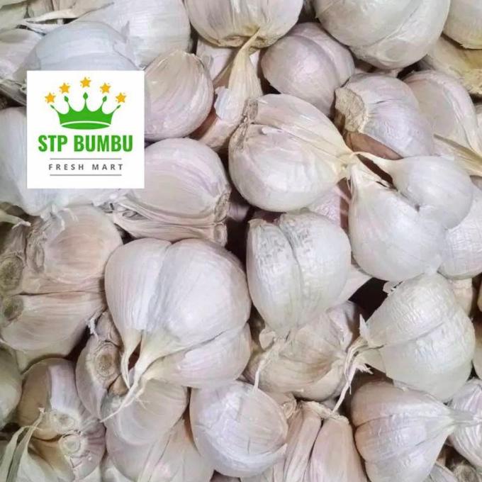 

[[COD]] Bawang Putih Kating Super Pilihan STOK TERBATAS Kode 376
