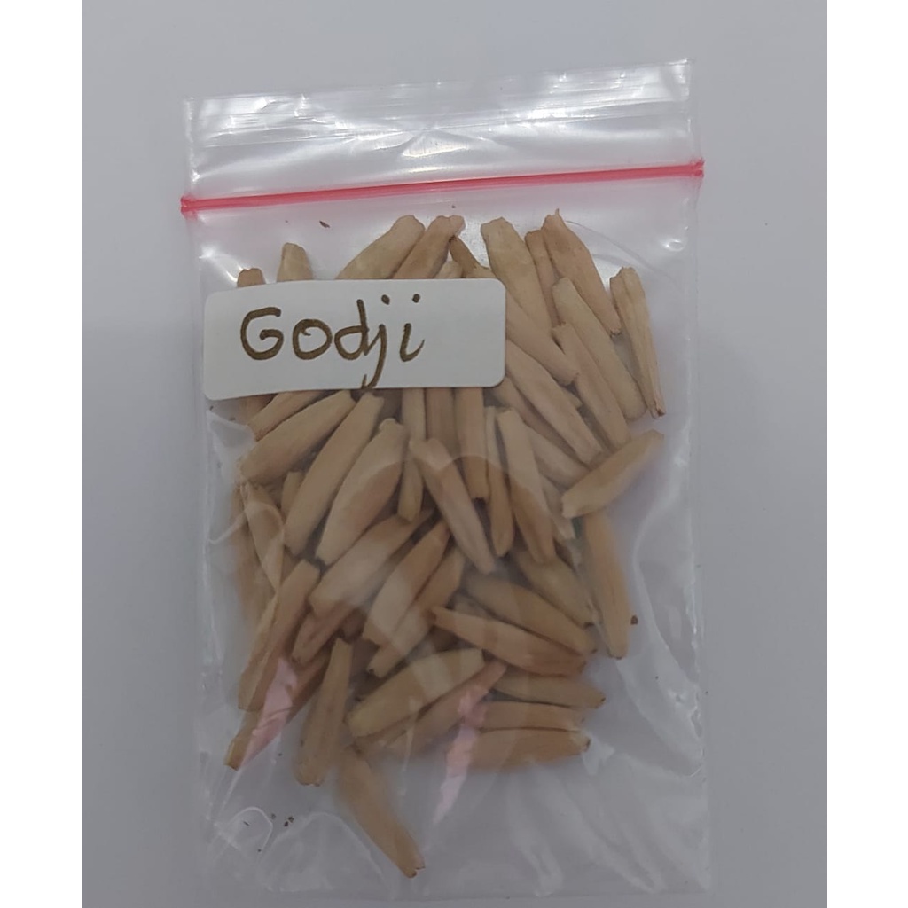 Seeds/Biji/Benih Tanaman Hias Adenium GODJI Import