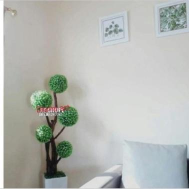 bonsai#pohon bonsai#bonsai bola#bonsai plastik#bunga plastik
