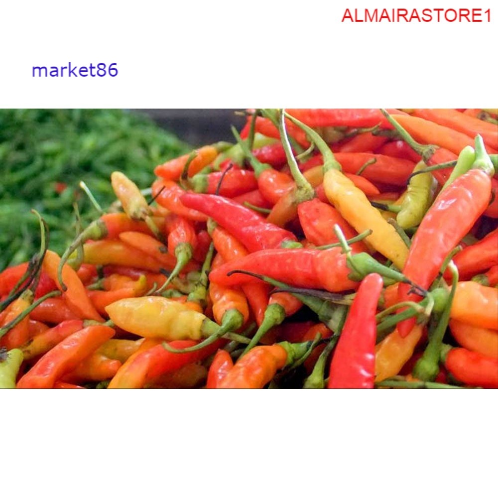 

Grosir Sayuran Segar Sayur FRESH Cabe / Cabai Rawit Merah 250 Gram murah - Market86