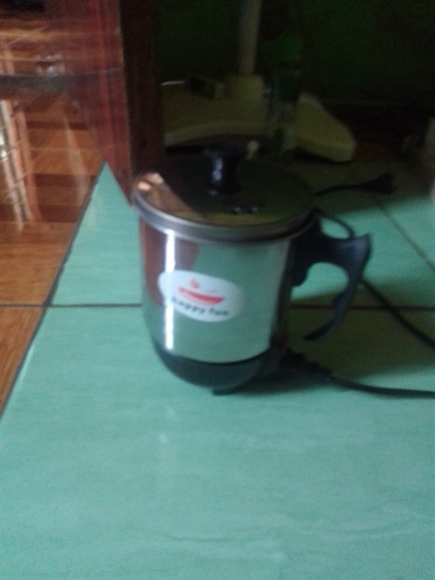 Teko Listrik Pemanas Air Stainless Steel Low Watt Mug Elektrik Gelas Electric Kettle Heating Cup