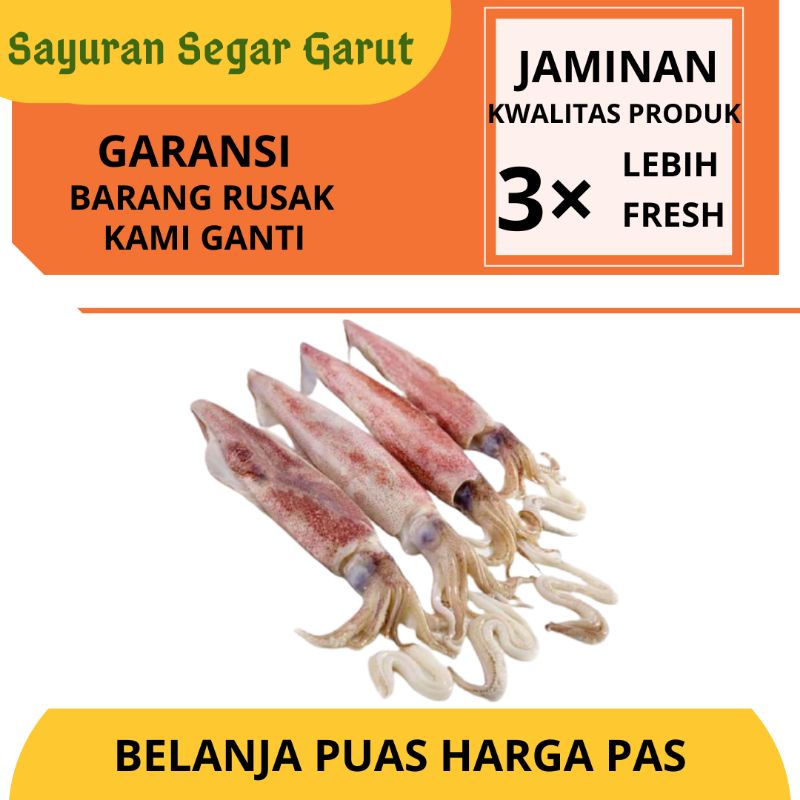 

Cumi Basah Seefood Segar 1kg by Sayuran Segar garut