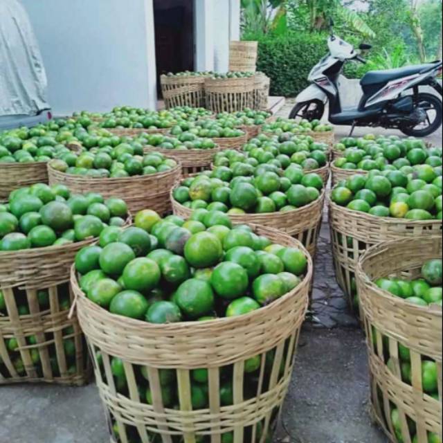 

Jeruk peres Madu siam segar