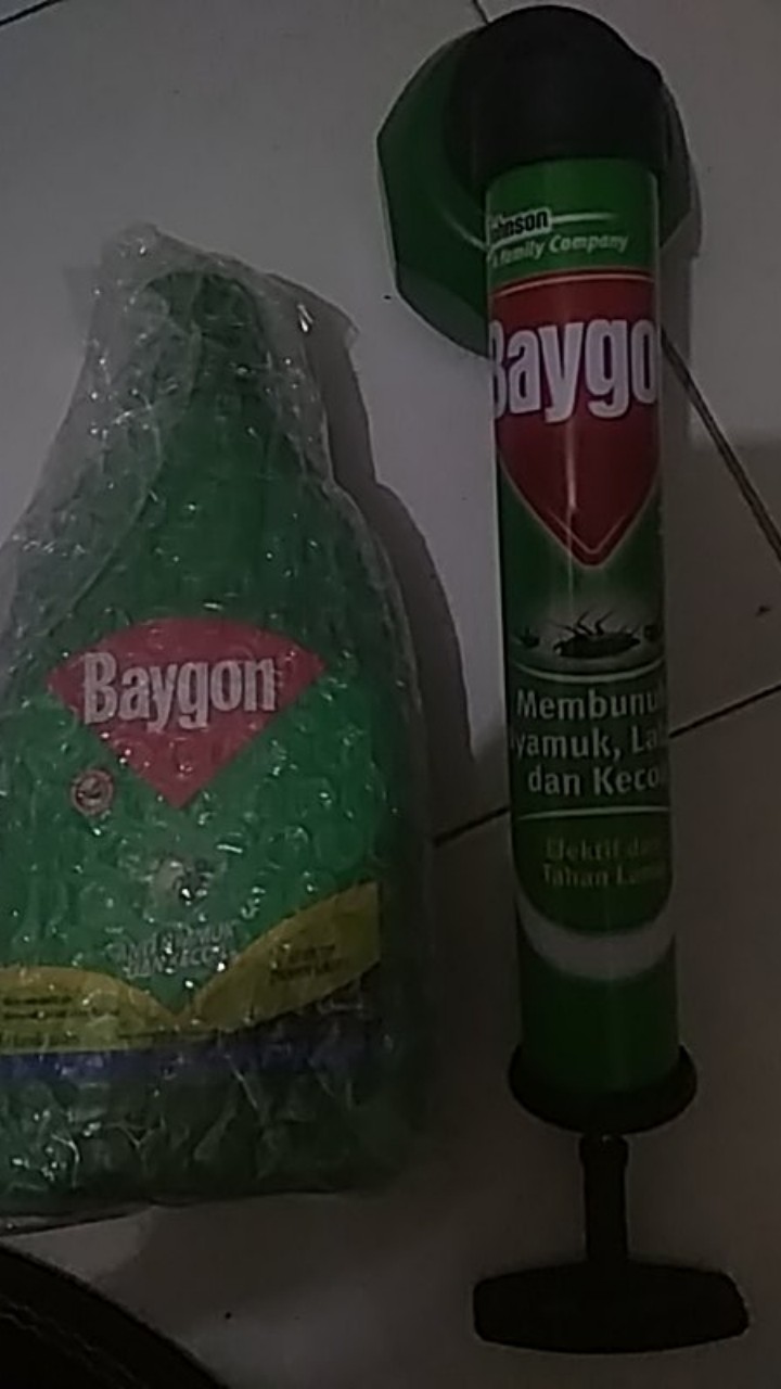 Baygon Anti Nyamuk & Kecoa  Jumbo 650ml+semprotan