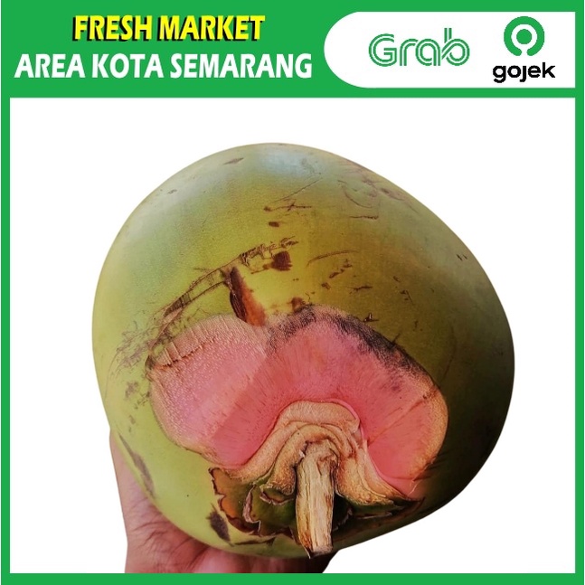 

[FRESH MARKET] kelapa muda degan WULUNG ijo dengan batok sabut KIRIM GRAB area kota semarang