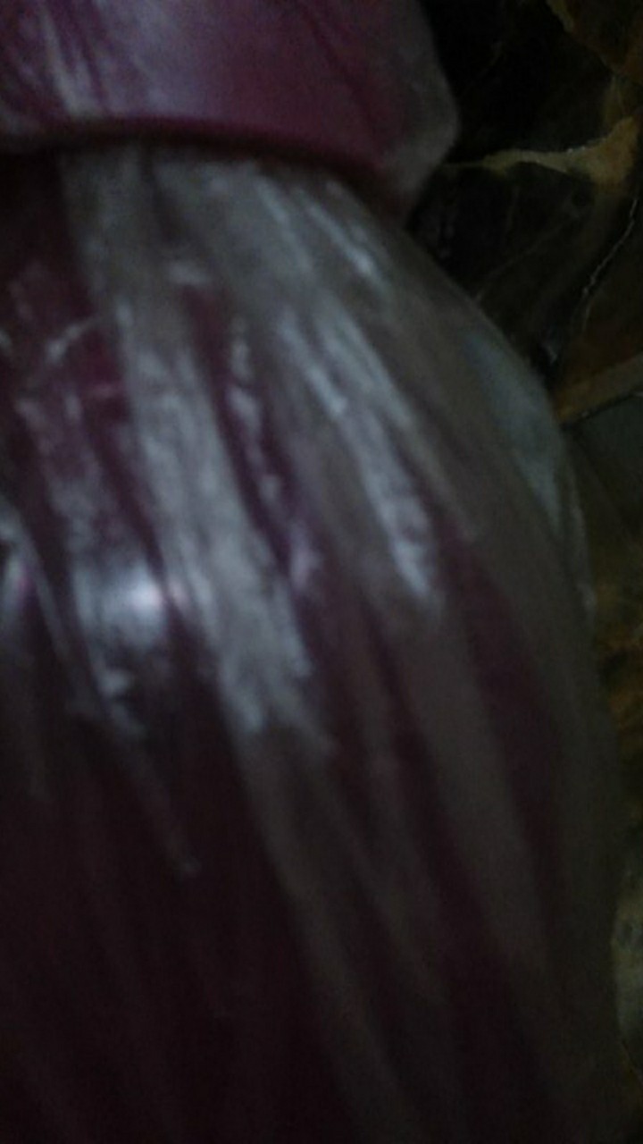 Eco Bottle 500 Ml Ecer