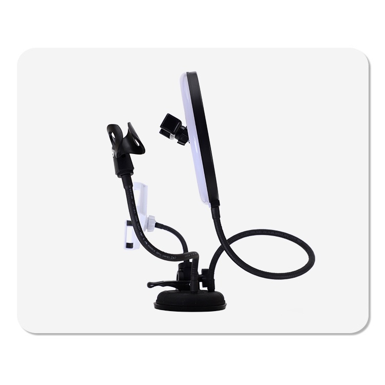 BePotofone LED Selfie Ring Fill Light Dimmable Live Stream Tiktok RGBW 10 Inch with 2xHolder - BRL71 - Black