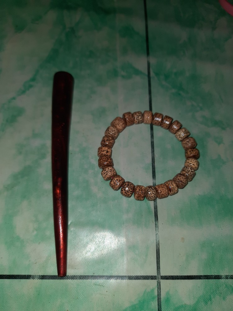 Pipe Once Akar Bahar Tali Arus Merah Hk 092