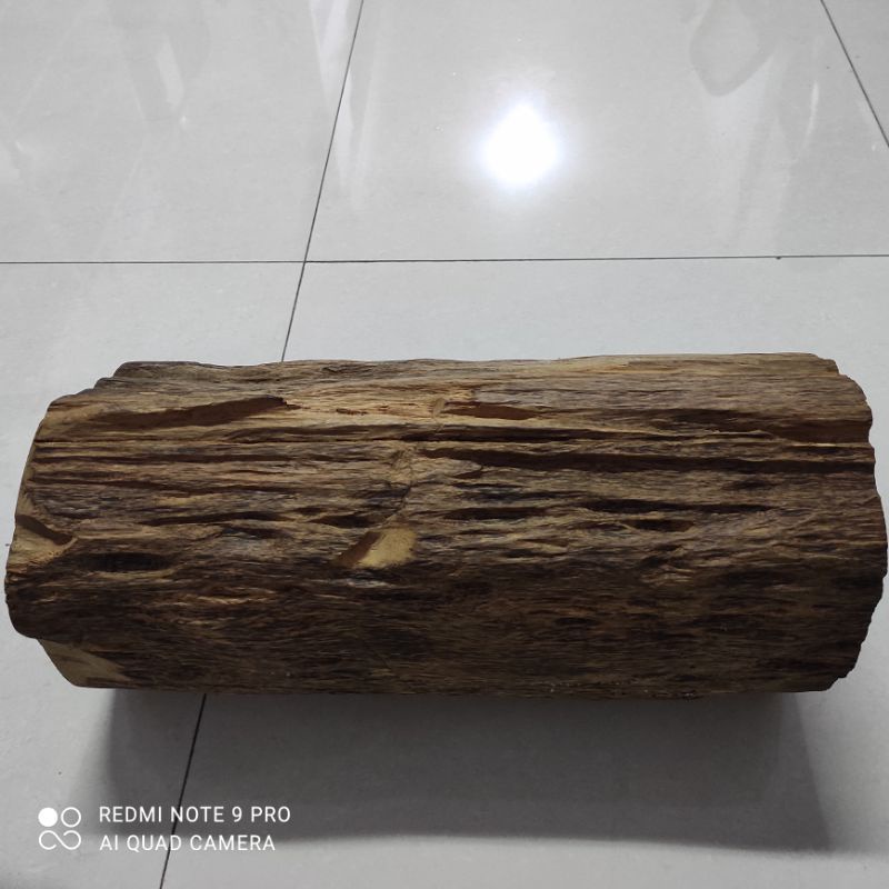 kayu gaharu bagus untuk ukiran dan pajangan