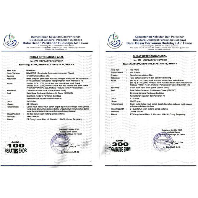 NEW PRODUCT GOJEK JIRIFARM BIBIT IKAN NILA GESIT UKURAN 7-9 CM HIDUP TERBAIK