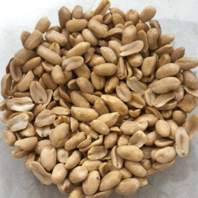 

Kacang Bawang 500gr