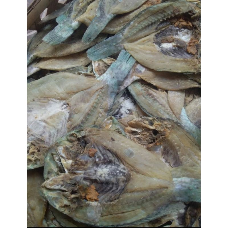 

bajo lembain ikan asin khas lombok berat +/- 500gr/ikan asin kakaktua khas.lombok